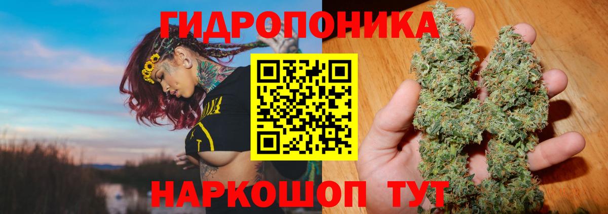 Канабис конопля  Конопля Ganja  Марихуана Amnesia  Вход с VPN  Жуковский 